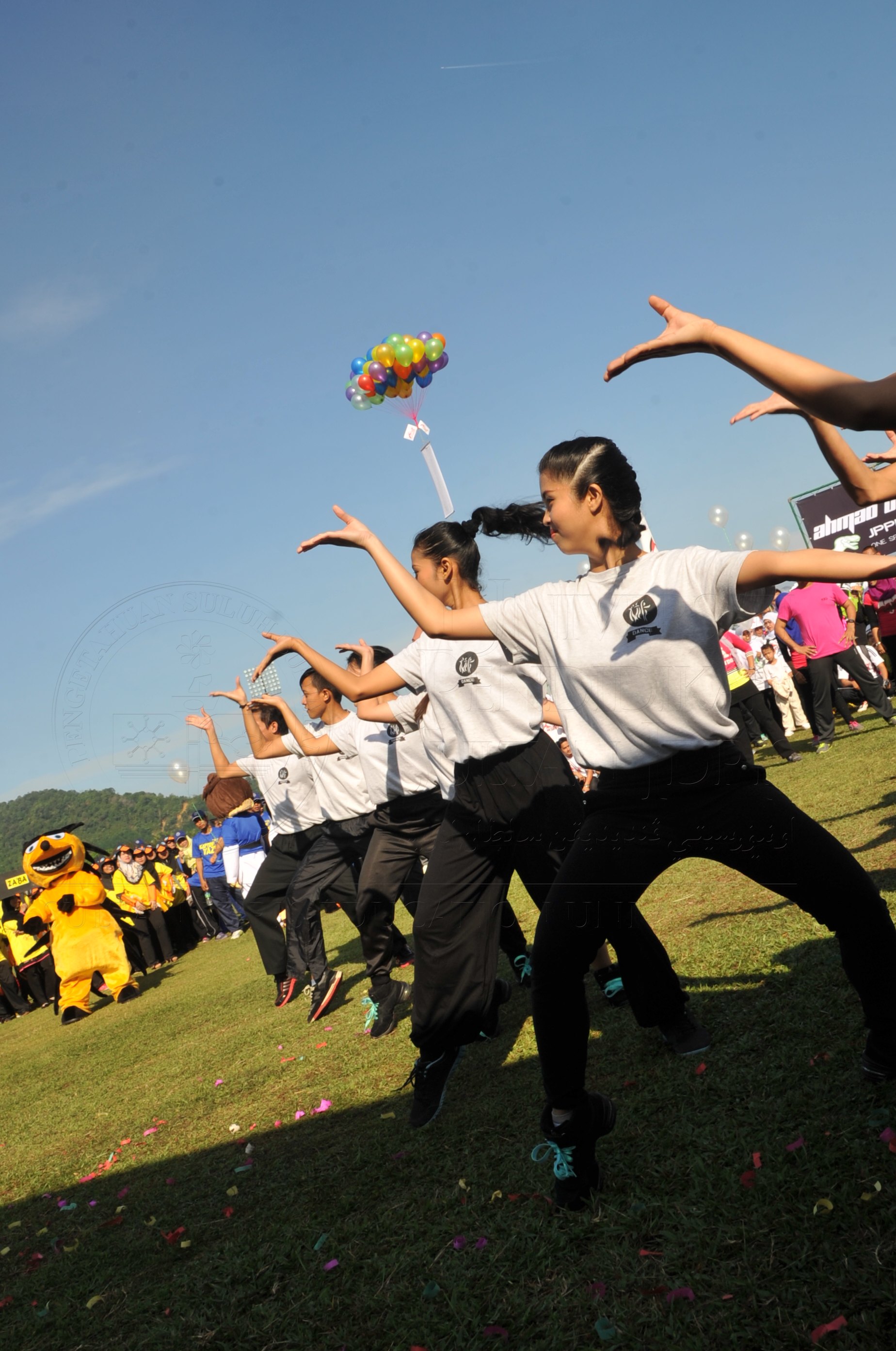 PRO 15 53 KIESTA HAS 3873